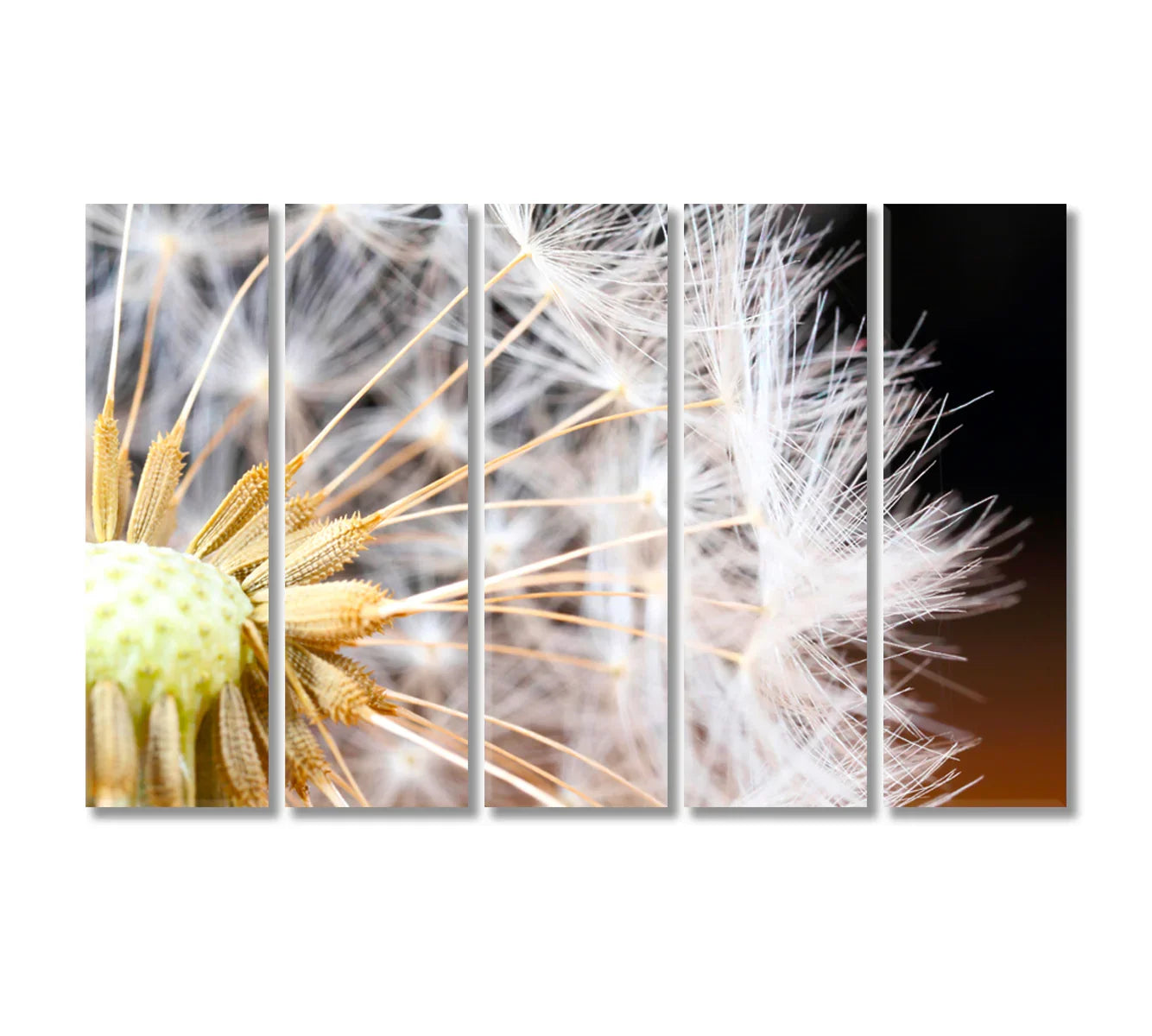 Dandelion Seeds Print Decor Wall Art-Canvas Print-CetArt-1 Panel-24x16 inches-CetArt