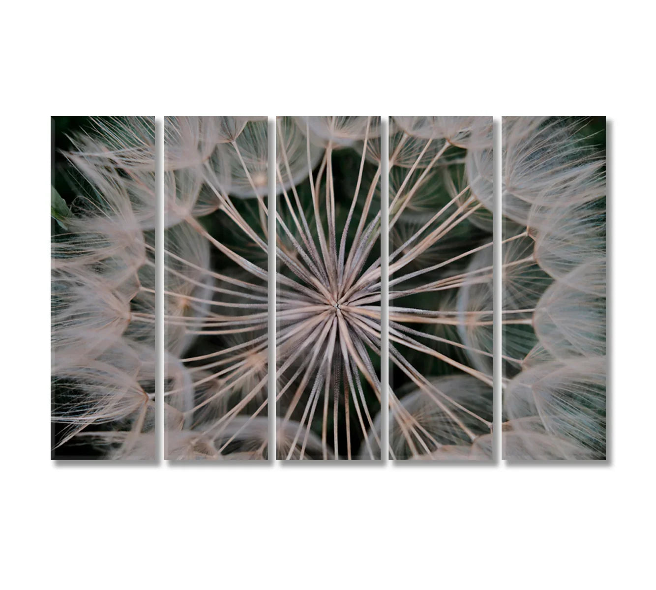 Delicate Dandelion Wall Decor Canvas-Canvas Print-CetArt-1 Panel-24x16 inches-CetArt