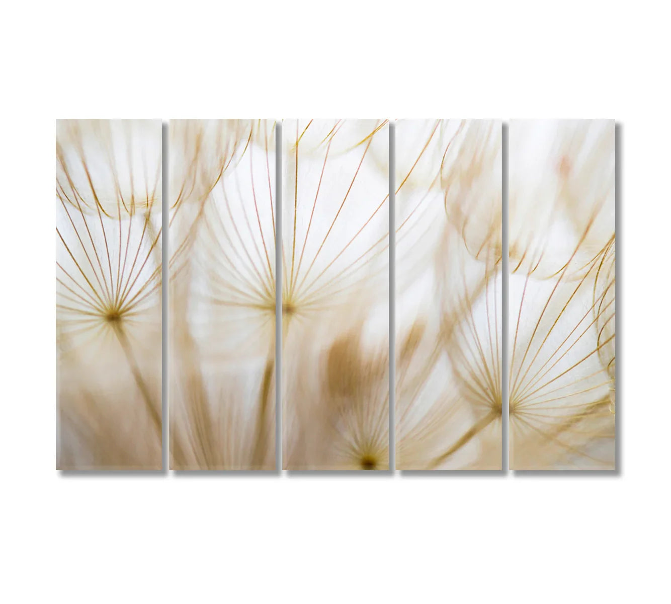 Beige Dandelion Canvas Art Decor-Canvas Print-CetArt-1 Panel-24x16 inches-CetArt
