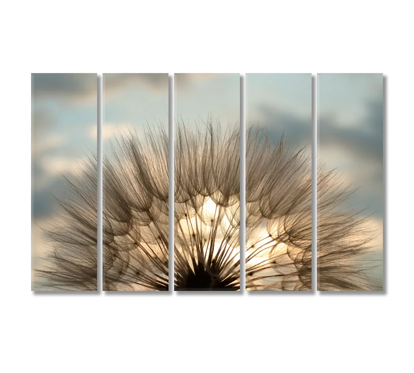 Fluffy Dandelion Flower Interior Canvas-Canvas Print-CetArt-1 Panel-24x16 inches-CetArt