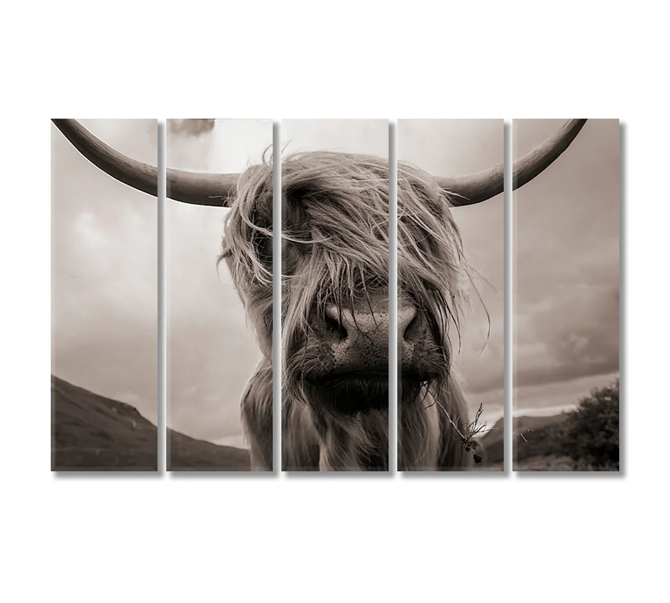 Highland Cow Black White Wall Art-Canvas Print-CetArt-1 Panel-24x16 inches-CetArt