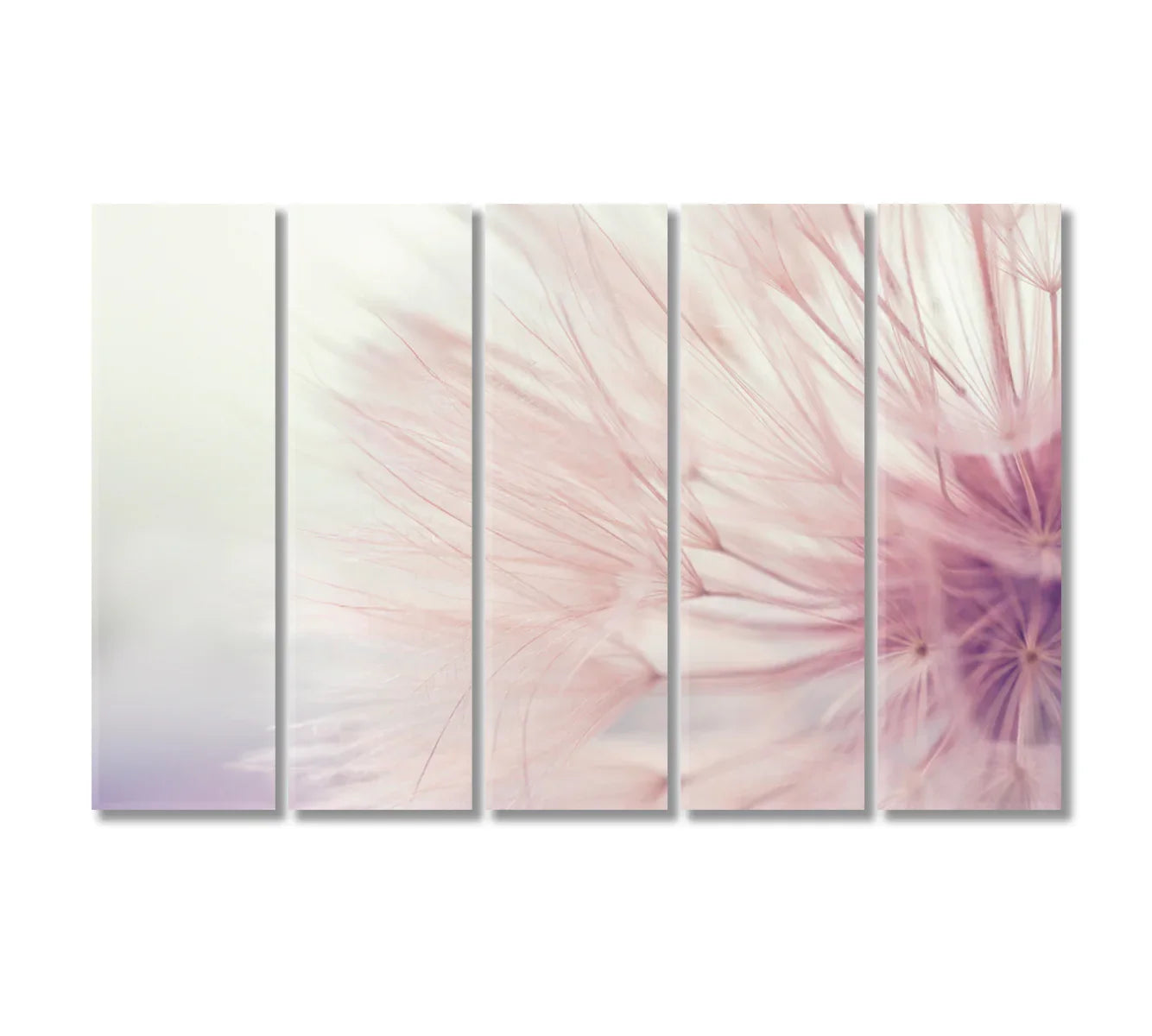 Tender Dandelion Print Canvas Art-Canvas Print-CetArt-1 Panel-24x16 inches-CetArt