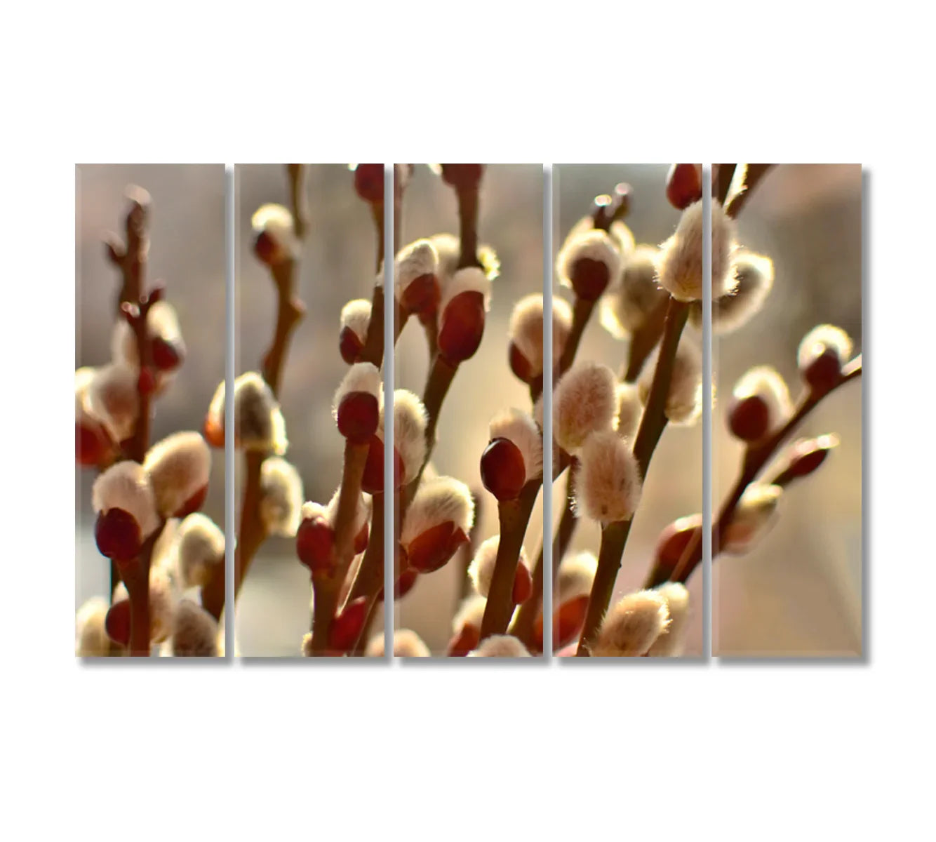 Willow Branches Wall Canvas Art Print-Canvas Print-CetArt-1 Panel-24x16 inches-CetArt