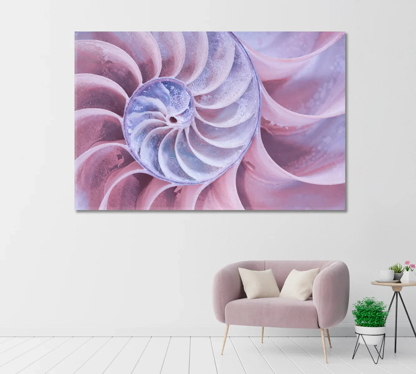 Nautilus Shell Canvas Print-Canvas Print-CetArt-1 Panel-24x16 inches-CetArt