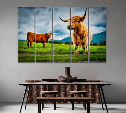 Highland Cows Canvas Print-Canvas Print-CetArt-1 Panel-24x16 inches-CetArt