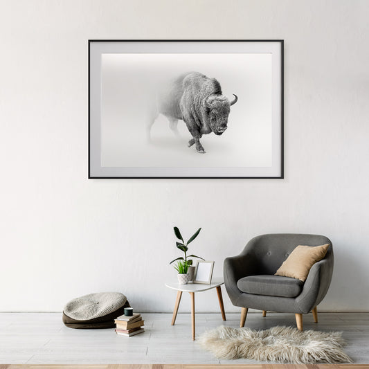 Bison Black And White Posters-Horizontal Posters NOT FRAMED-CetArt-10″x8″ inches-CetArt