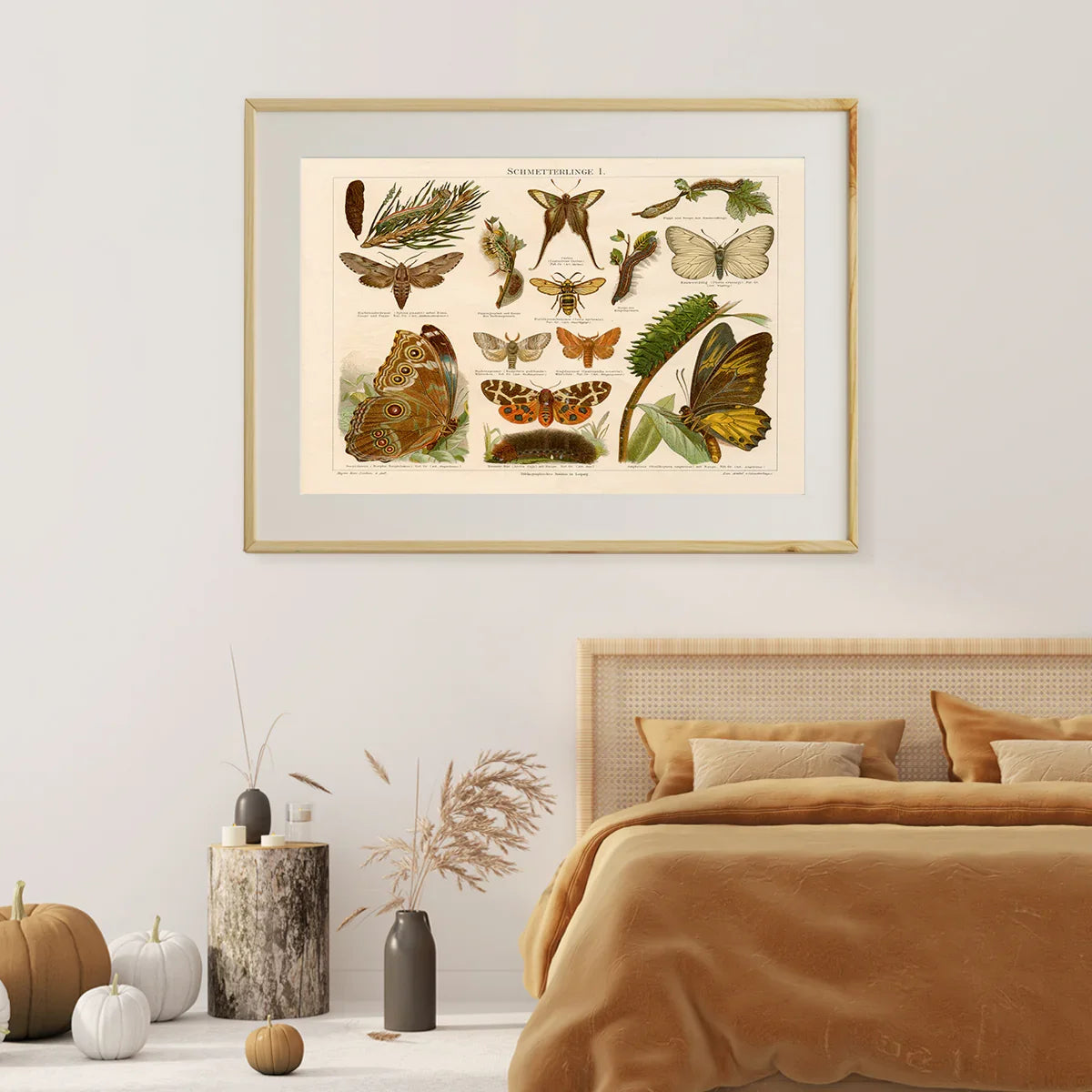 Antique Butterflies Vintage Posters-Horizontal Posters NOT FRAMED-CetArt-10″x8″ inches-CetArt