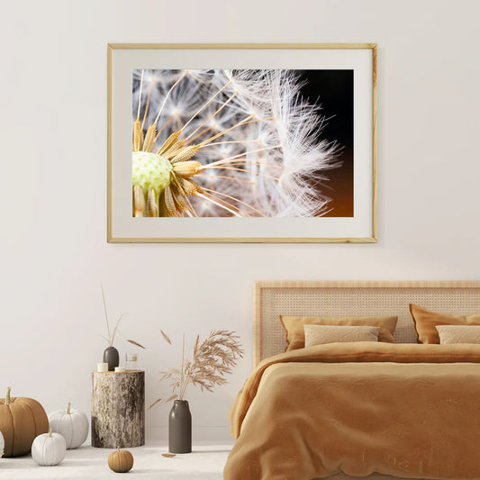 Macro Dandelion Seeds Posters For Living Room-Horizontal Posters NOT FRAMED-CetArt-10″x8″ inches-CetArt