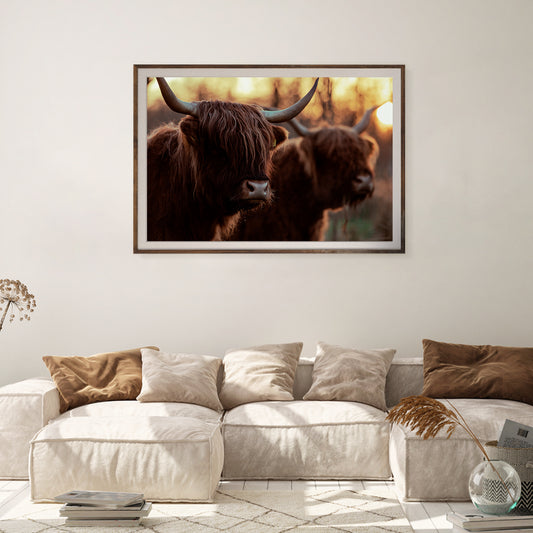 Highland Cows Posters And Wall Art Prints For Living Room-Horizontal Posters NOT FRAMED-CetArt-10″x8″ inches-CetArt