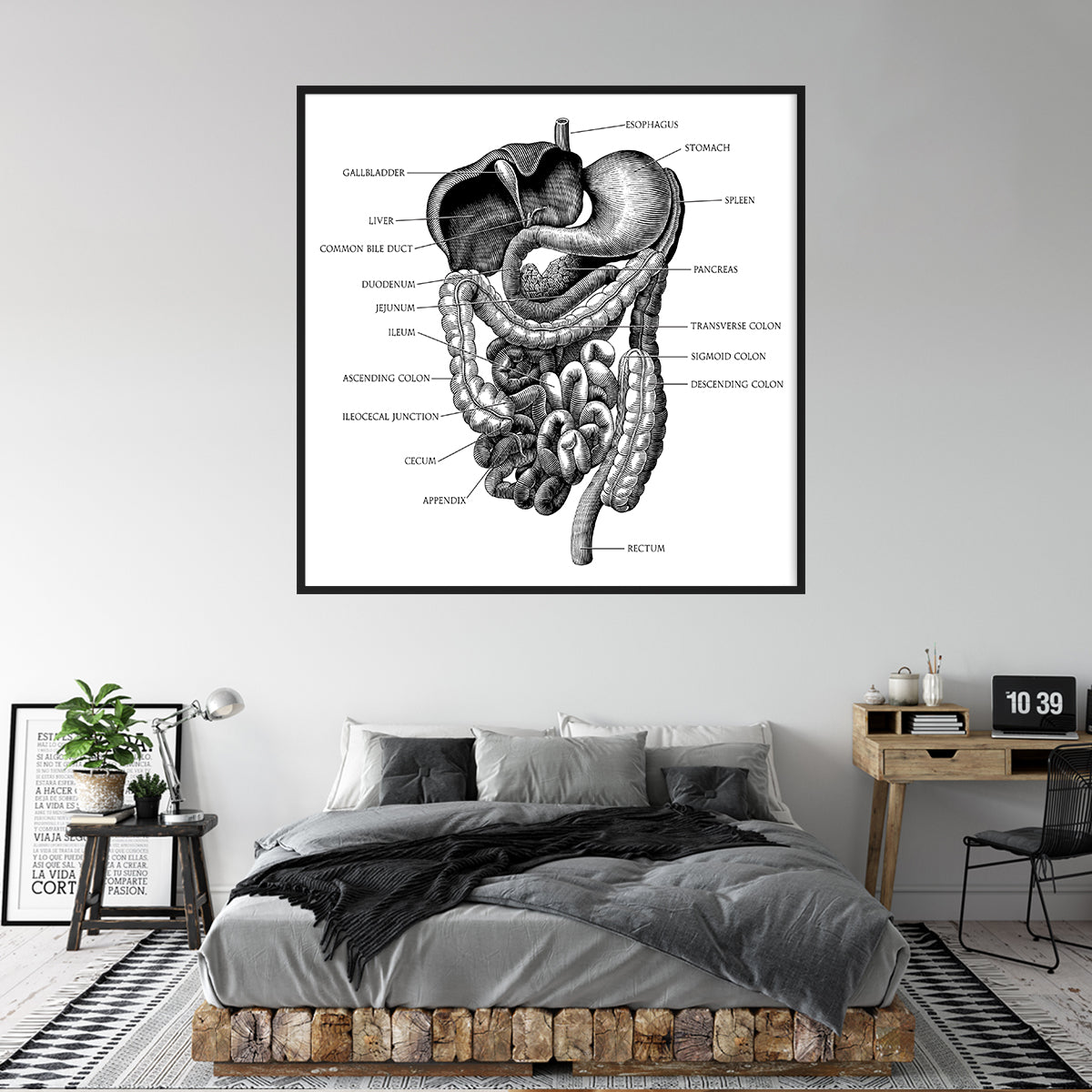Human Gastrointestinal System Diagram Vintage Posters Prints Wall Decor-Square Posters NOT FRAMED-CetArt-8″x8″ inches-CetArt