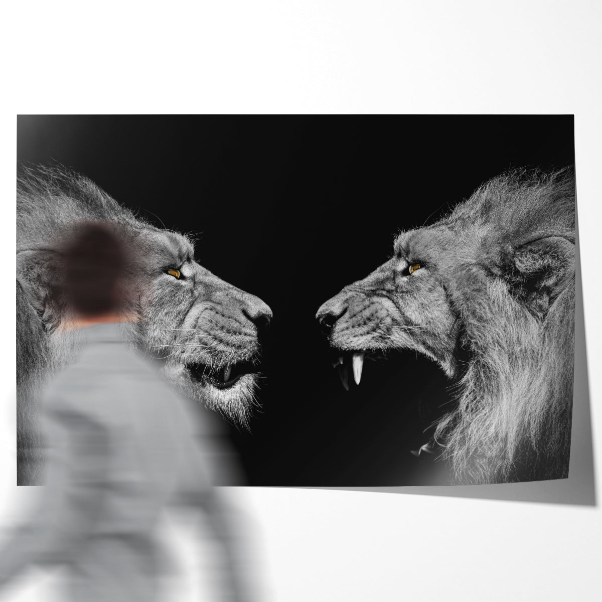 Two Lions Black White Portrait Motivational Posters For Office-Horizontal Posters NOT FRAMED-CetArt-10″x8″ inches-CetArt