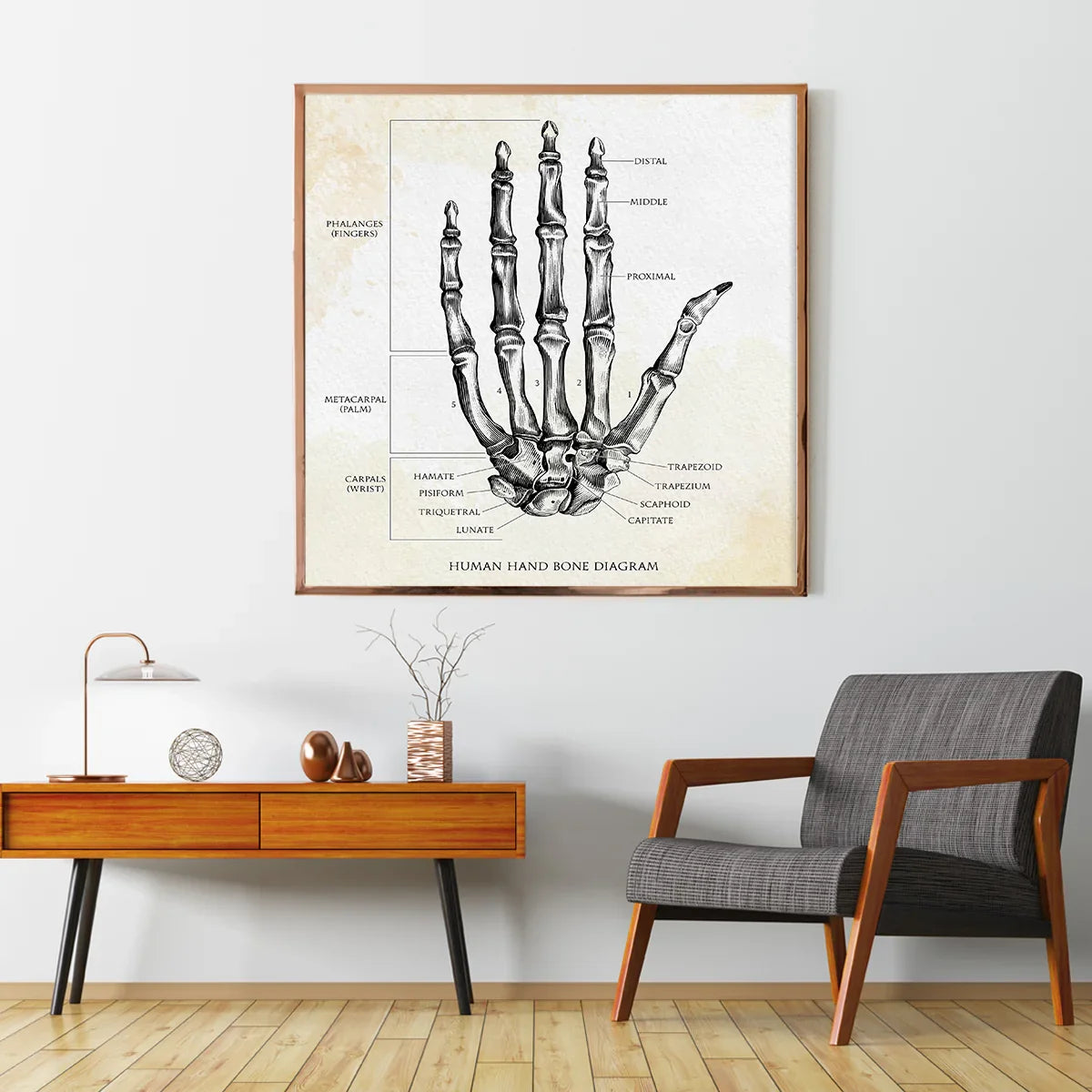 Human Hand Bone Vintage Modern Abstract Art Posters-Square Posters NOT FRAMED-CetArt-8″x8″ inches-CetArt