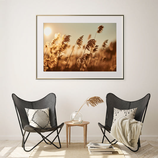 Reeds in Rays of Setting Sun Poster For Living Room-Horizontal Posters NOT FRAMED-CetArt-10″x8″ inches-CetArt
