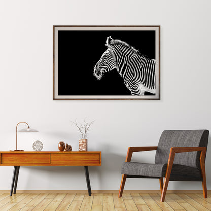 Zebra Black White Portrait Wild Animal Posters-Horizontal Posters NOT FRAMED-CetArt-10″x8″ inches-CetArt