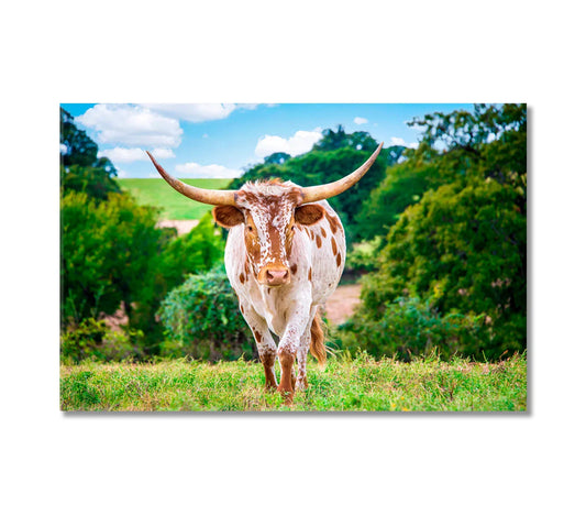 Texas Longhorn Cattle Canvas Print | Rustic Wildlife Wall Art – CetArt