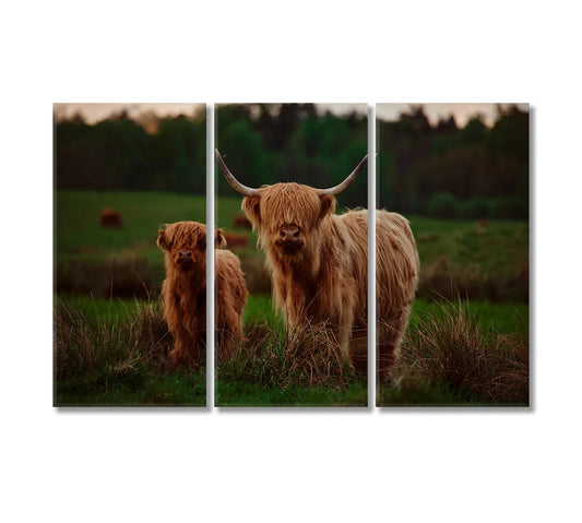 Highland Cow Mother & Calf Canvas Print | Farmhouse Wall Art