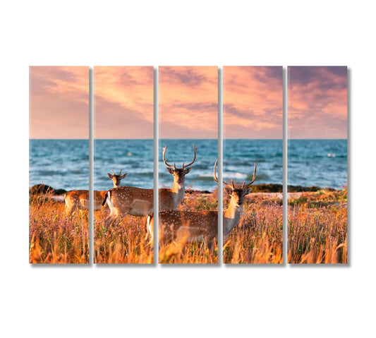 Sea Landscape with Sika Deer Family Canvas Print | CetArtSea Landscape with Sika Deer Family Canvas Print 