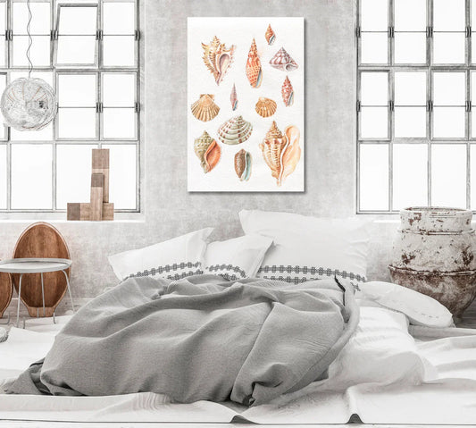 Seashells Art for Room Wall Decor