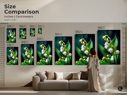Size comparison of Lily of the Valley prints in inches and centimeters. Visualize various sizes of this white flower canvas art from small to extra large. Perfect nature photography wall art for springtime home decor it’s a tranquil botanical artwork.