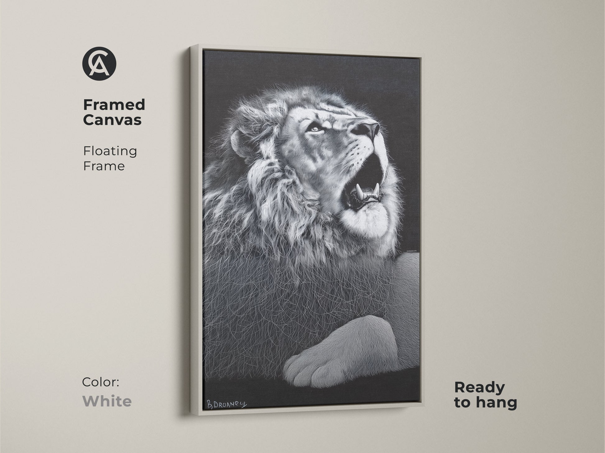 White framed monochrome lion canvas. This floating framed wildlife decor is ready to hang. It's suited for a contemporary bedroom or office. Bring a touch of the savanna wildlife to your walls.