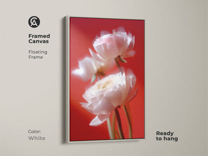 A framed canvas of ranunculus flower art with a floating frame in white. The artwork is ready to hang. The soft white petals contrast beautifully with the red background. A perfect piece for minimalist decor.