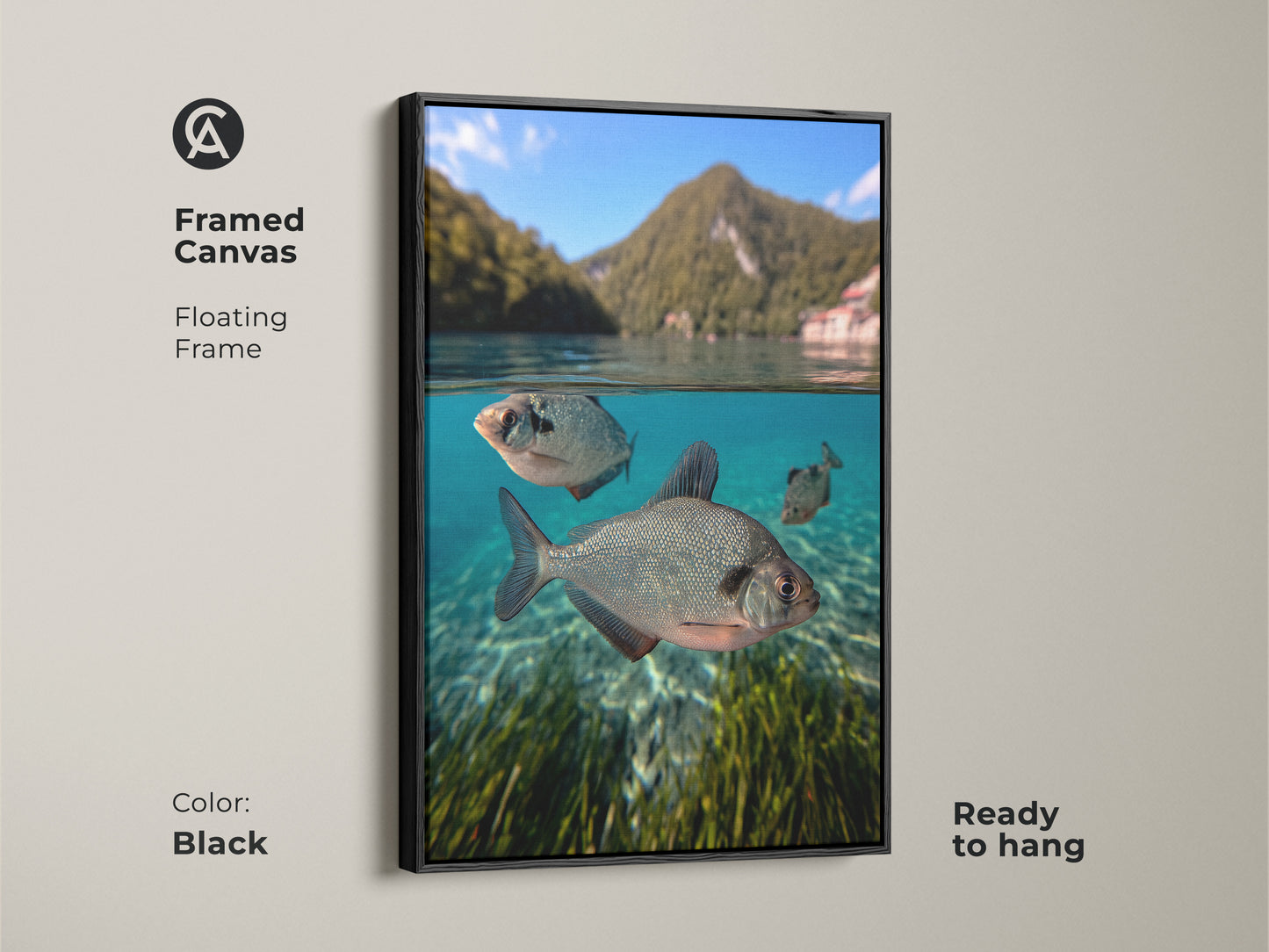 Framed Canvas of underwater fish. The floating frame is sleek in black. This lake scene wall art is ready to hang. A coastal nature print of blue green animal artwork. It makes a great fishing gift wall decor.