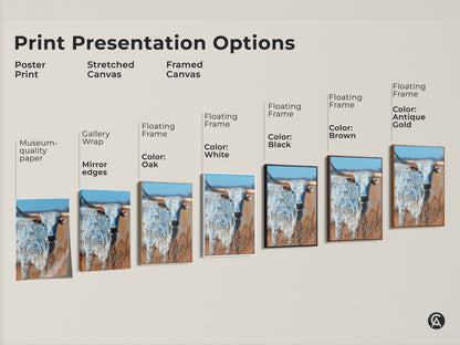 Print presentation options for longhorn bull artwork. Options include poster print stretched canvas and framed canvas. Frame colors include black brown antique gold and white. Choose the perfect option for your home decor.