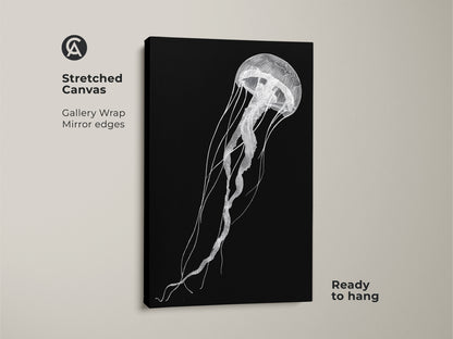 A stretched canvas showcases minimalist jellyfish artwork. The black and white line art is a contemporary sea life decor piece ready to hang. Gallery wrapped with mirror edges for a clean look.