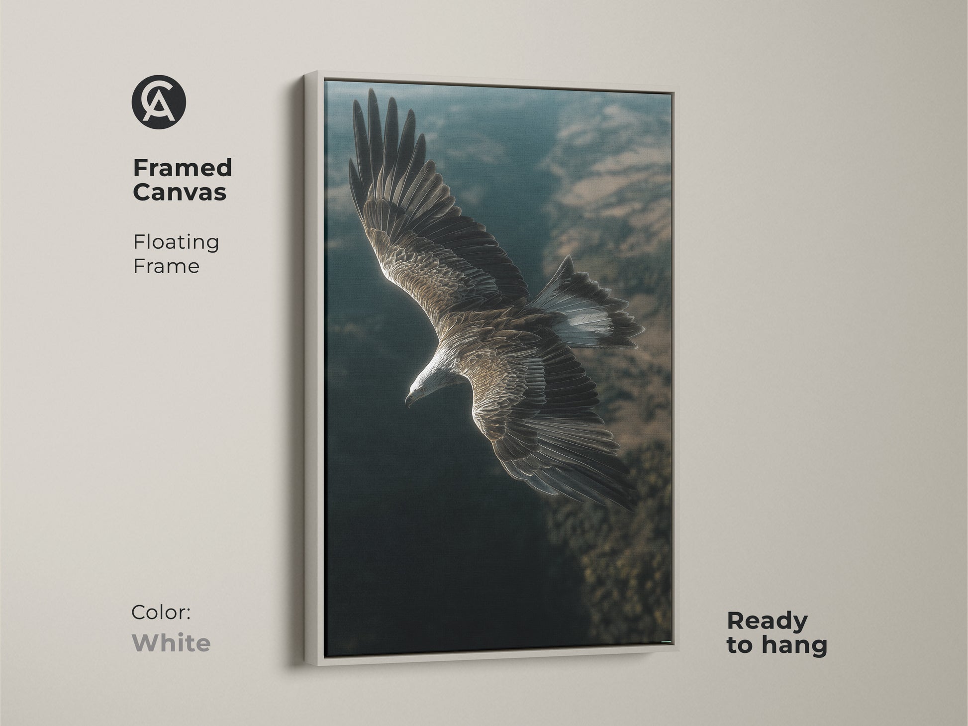 Framed canvas artwork of an eagle in flight. White floating frame provides a clean modern look. Ready to hang in any space. This realistic bird of prey print is beautiful nature wall decor. A feather detail canvas.