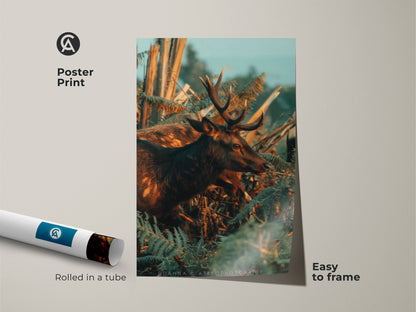 Poster print of a photorealistic deer art nestled in ferns. This amber and brown nature print is easy to frame. Rolled in a tube for protection. The wildlife artwork captures a serene forest scene. This rustic artwork brings the beauty of nature into your home. A thoughtful gift for wildlife enthusiasts.