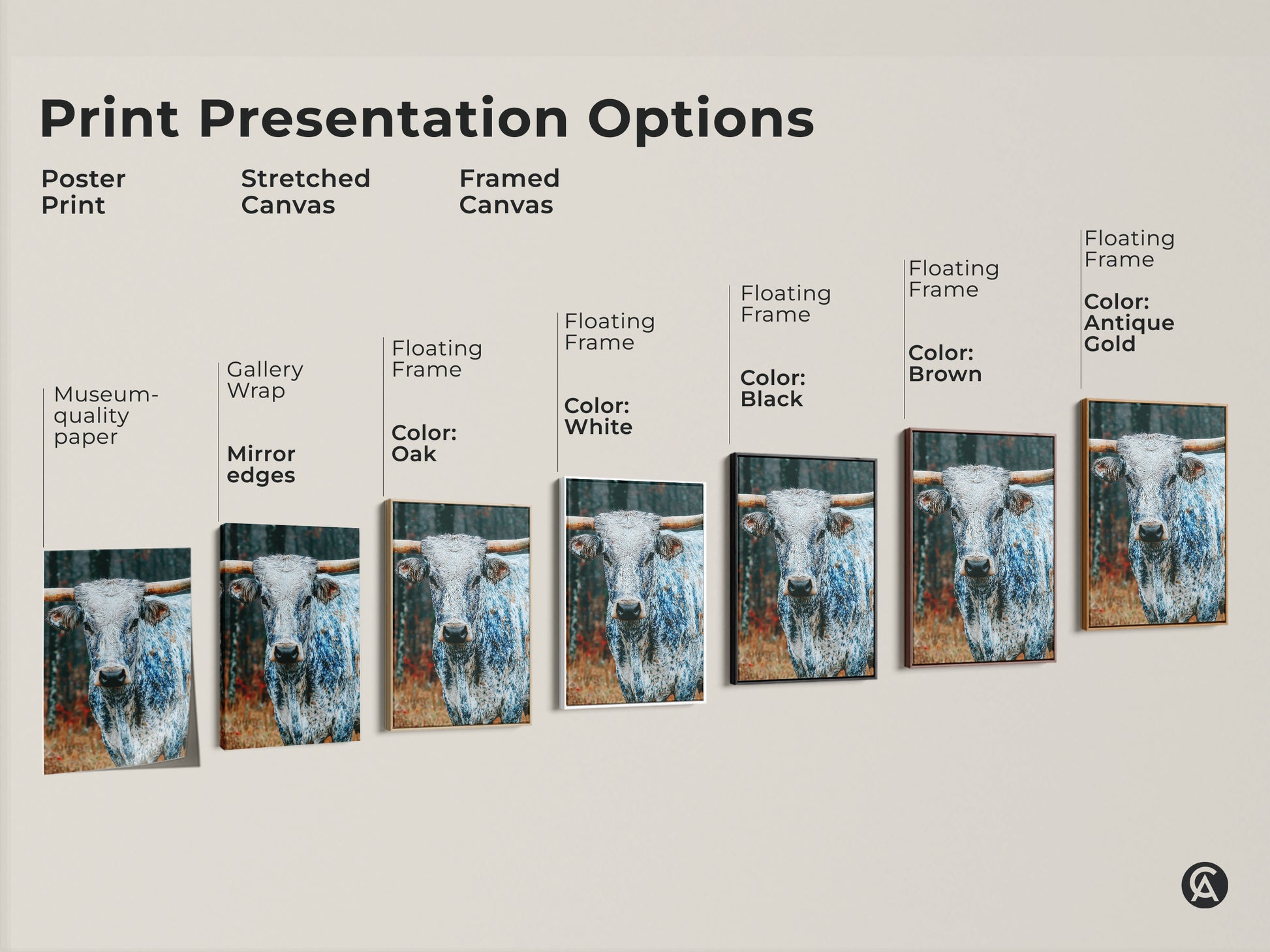 Print presentation options for Longhorn artwork. Choose from poster print stretched canvas or framed canvas. Frame colors include oak white black brown and antique gold. Find the perfect style for your space.