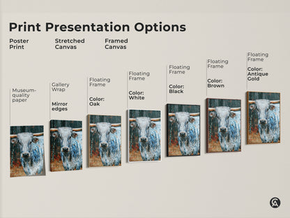 Print presentation options for Longhorn artwork. Choose from poster print stretched canvas or framed canvas. Frame colors include oak white black brown and antique gold. Find the perfect style for your space.
