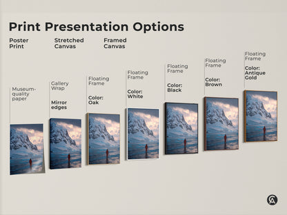 Print presentation options for Antarctic canvas art including poster prints stretched canvas and framed canvas. Various floating frame colors are oak white black brown and antique gold are displayed.