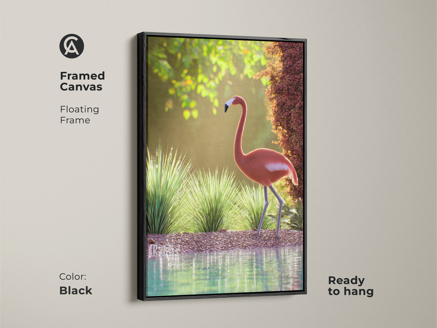 Framed canvas featuring a pink flamingo in a natural setting with a black floating frame. This wildlife artwork is ready to hang adding coastal charm to any room. The tranquil scene brings the beauty of nature indoors. Ideal for bedrooms living rooms or coastal themed spaces. A perfect piece for bird lovers.