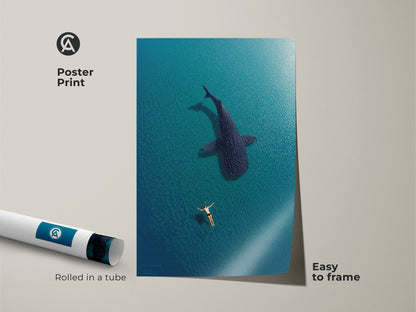 Poster print showcasing a swimmer and whale shark in deep blue turquoise waters. This ocean-themed print is easy to frame and adds a touch of coastal elegance to any space. Ideal for marine wildlife enthusiasts. Rolled and ready for display.