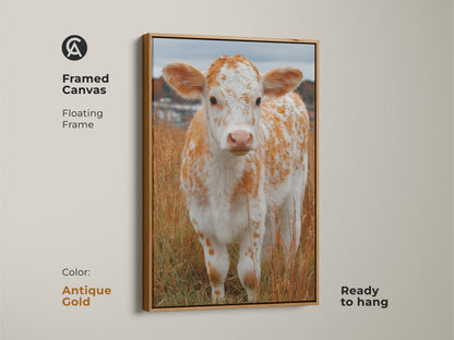 Framed canvas of a calf standing in a field with an antique gold floating frame. This animal art is ready to hang. The calf is white with orange spots. It is a cute artwork for a child's room. Buy framed canvas art online today.