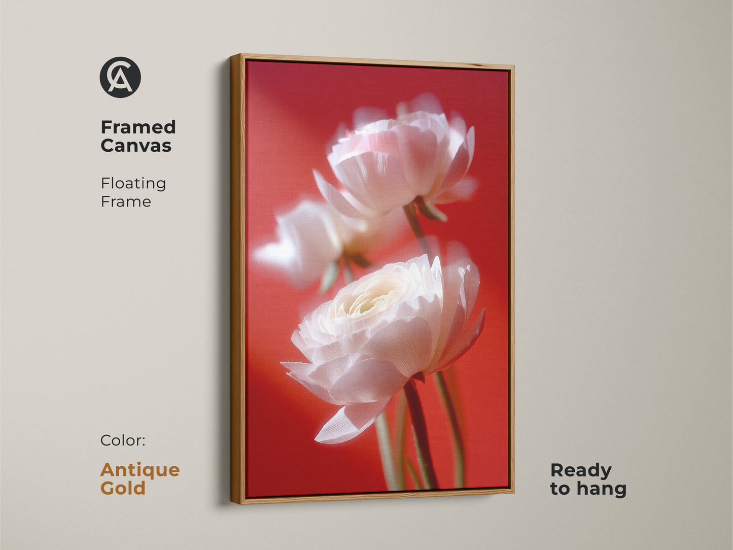 A framed canvas of ranunculus flower art with a floating frame in antique gold. The artwork is ready to hang. The soft white petals contrast beautifully with the red background. A perfect piece for elegant decor.