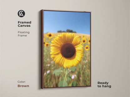 Framed canvas with a floating frame showcases a sunflower field artwork. The brown frame enhances the rustic farmhouse charm of this floral artwork. Ready to hang it brings a sunny day indoors. Perfect for farmhouse decor or a thoughtful gift for grandma.