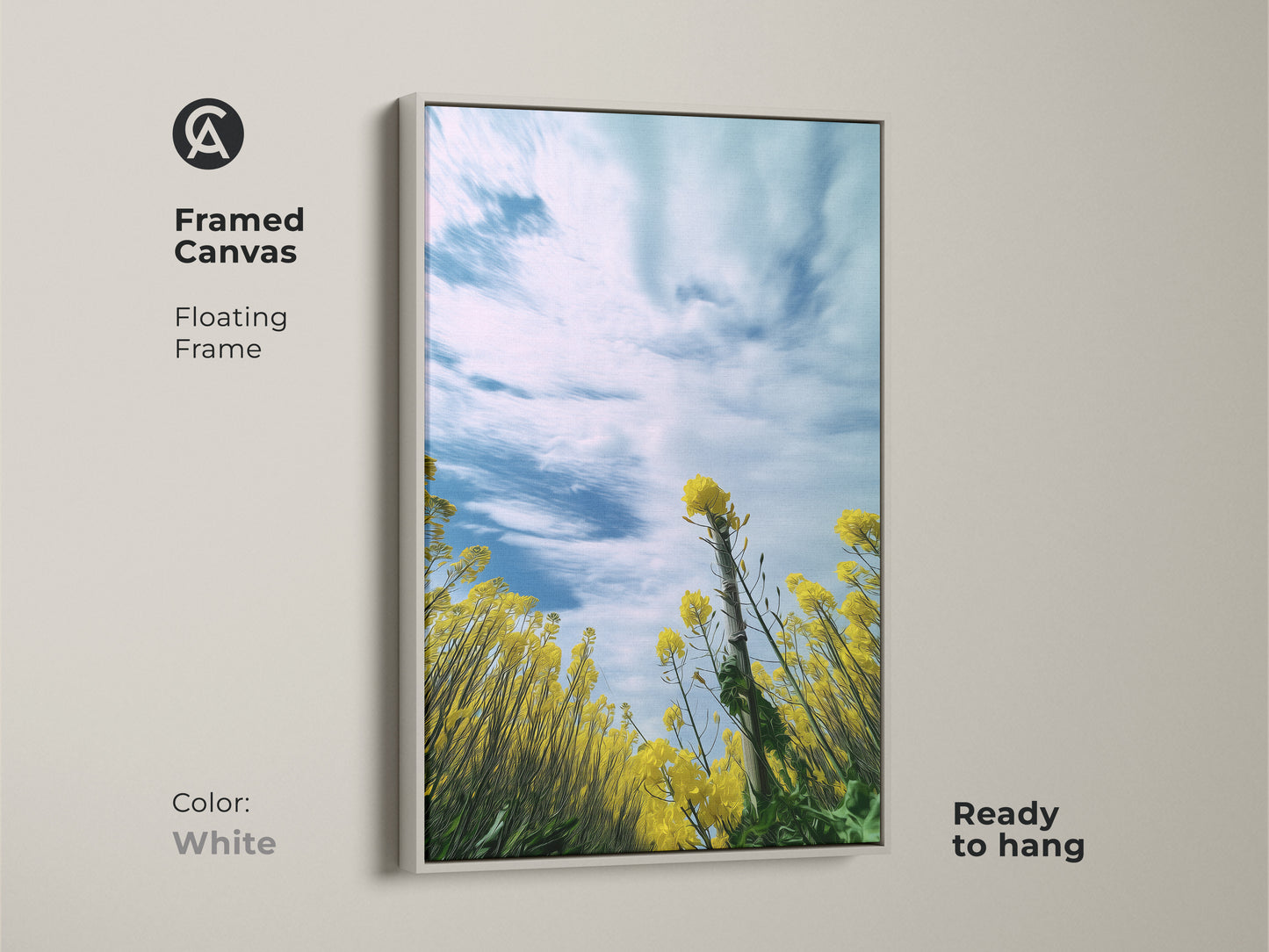 Framed canvas print of a yellow canola field with a white floating frame. The artwork features blooming yellow flowers under a blue sky. This spring landscape wall art is ready to hang. A perfect addition to your residential wall art. Bring the beauty of nature indoors with this vibrant floral print.