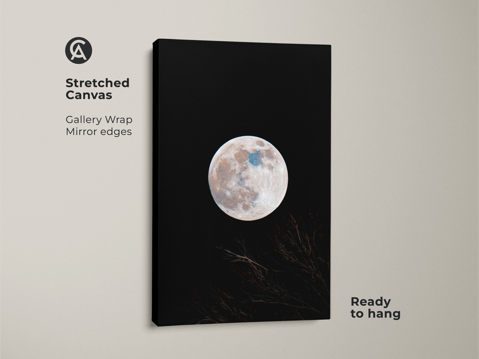 Stretched canvas moon art for sale. This gallery wrapped canvas features a full moon against a black sky. Branches are silhouetted at the bottom. The canvas has mirrored edges and is ready to hang. Buy moon art online.