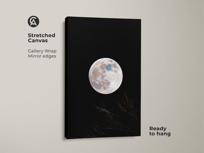 Stretched canvas moon art for sale. This gallery wrapped canvas features a full moon against a black sky. Branches are silhouetted at the bottom. The canvas has mirrored edges and is ready to hang. Buy moon art online.