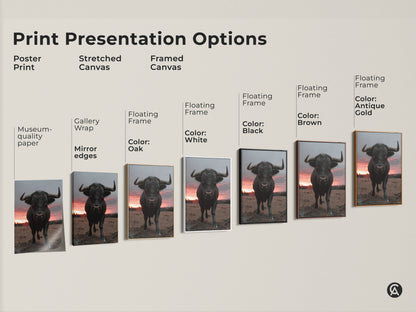 Print presentation options of a black bull artwork. Poster print stretched canvas and framed canvas options. Floating frame available in black brown oak antique gold and white color variations.
