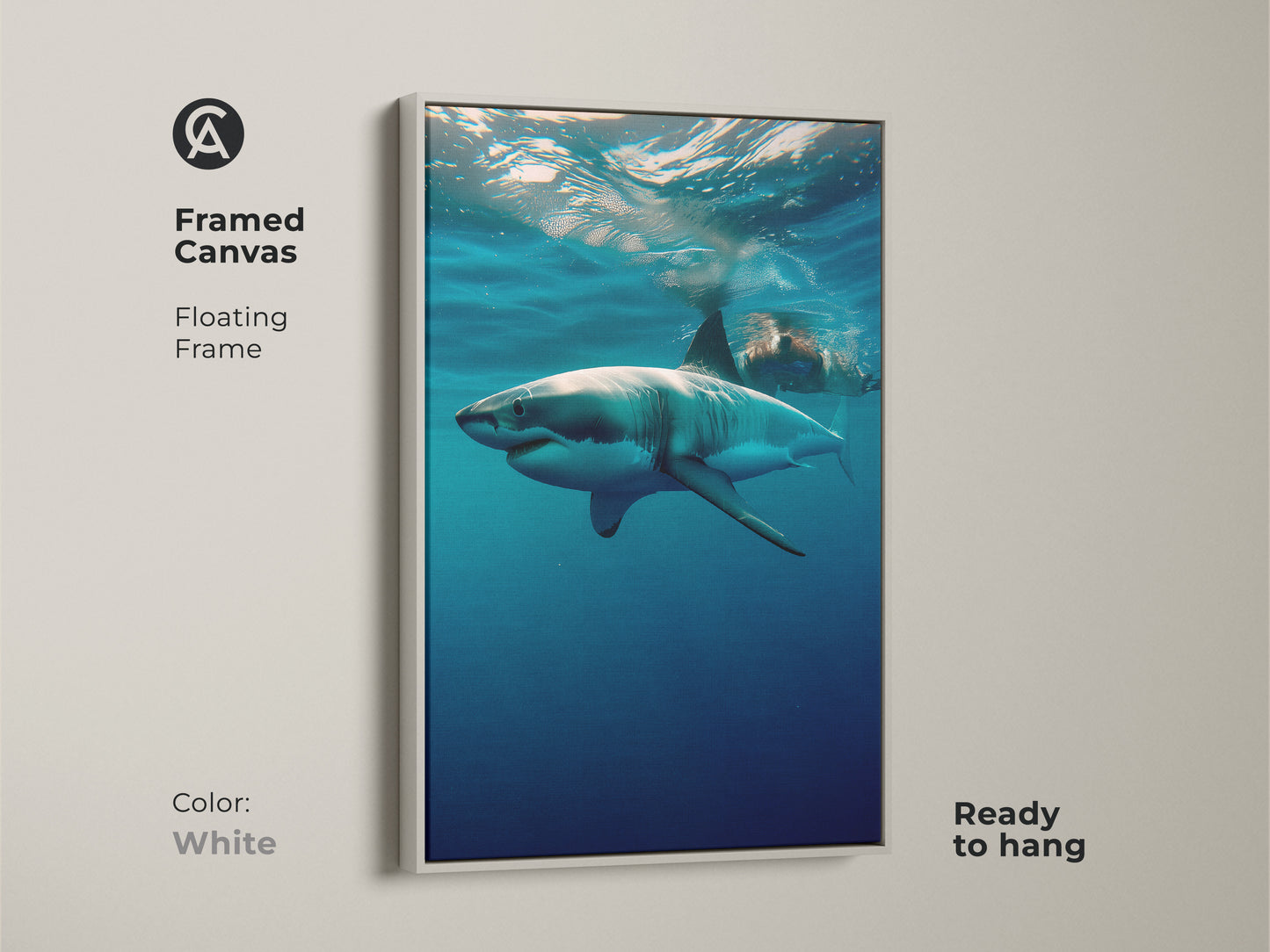 Framed canvas of an Underwater Great White Shark art print. The white floating frame showcases the stunning underwater wildlife photography. This blue ocean animal print is ready to hang. It will add a fresh modern touch to your home decor shark theme.
