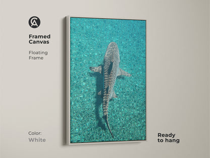 Framed canvas featuring a shark swimming in turquoise ocean waters ready to hang. The white floating frame enhances this teal blue artwork. Ideal coastal wall decor for marine biology art enthusiasts. Perfect scuba diver gift idea for nature lovers. This oceanic wildlife decor complements coastal and wildlife themes.