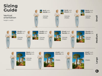Sizing guide for the boho Baobab tree African landscape. Vertical orientation with various height and width options. Available as canvas or poster. This nature artwork features a dirt road leading to Baobab trees under a blue sky. 