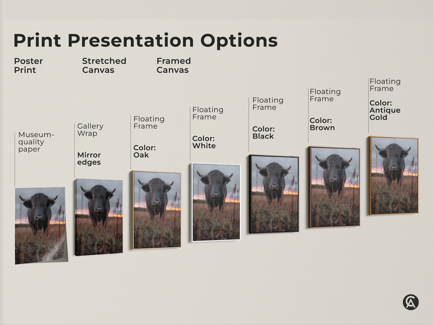Explore print presentation options for bull artwork. Choose from poster prints to stretched canvas to framed canvas. Various floating frame colors available. Find the perfect style for your rustic farmhouse wall art. Enhance your home decor today.