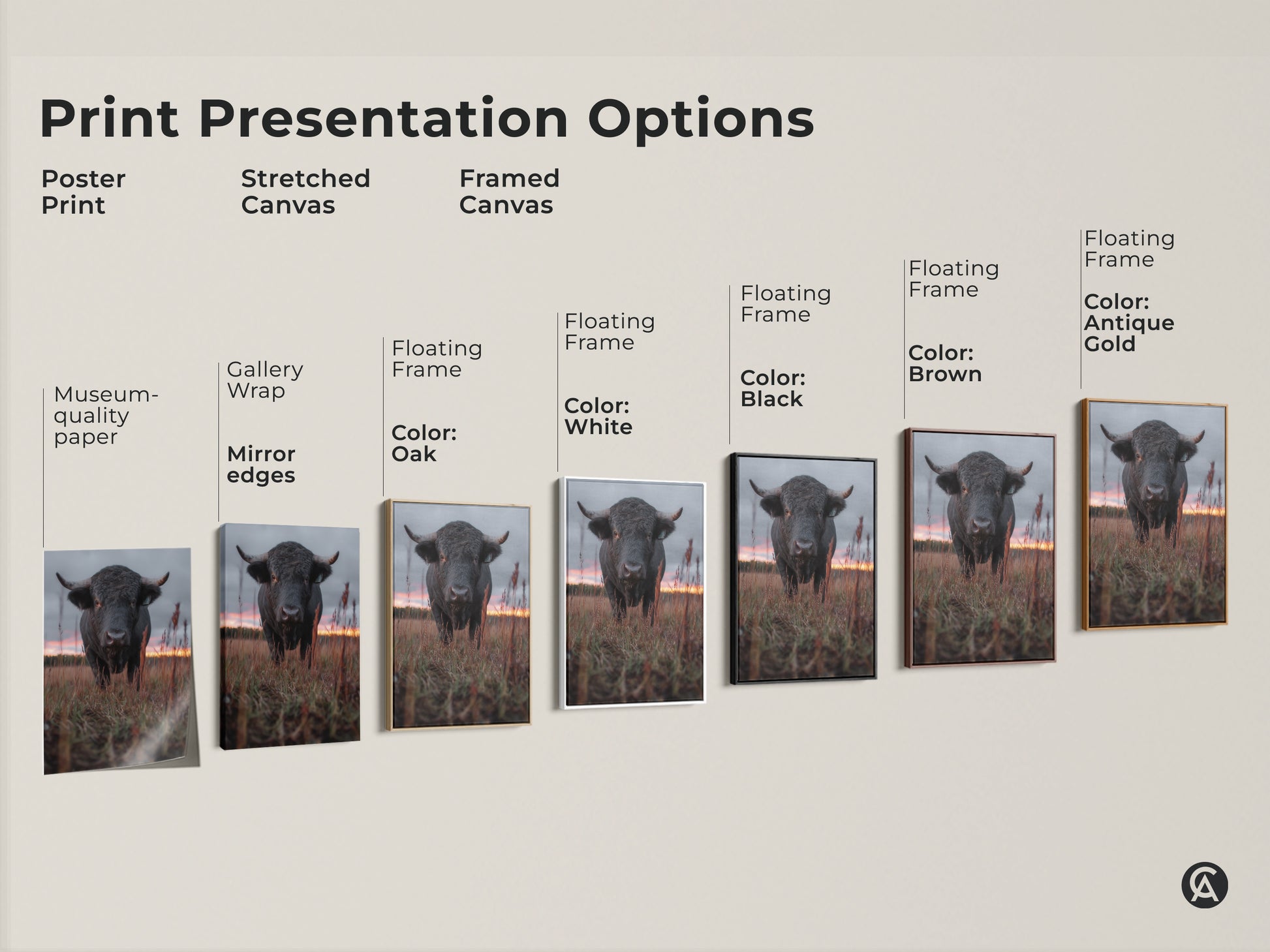 Explore print presentation options for bull artwork. Choose from poster prints to stretched canvas to framed canvas. Various floating frame colors available. Find the perfect style for your rustic farmhouse wall art. Enhance your home decor today.