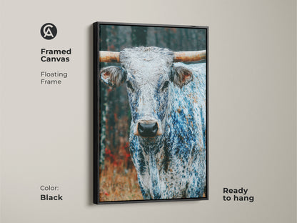 Framed canvas art featuring a Longhorn. The floating frame is black. This ready-to-hang piece adds sophistication. The animal's gaze is intense. It is a striking focal point for any room. The black frame enhances the artwork.