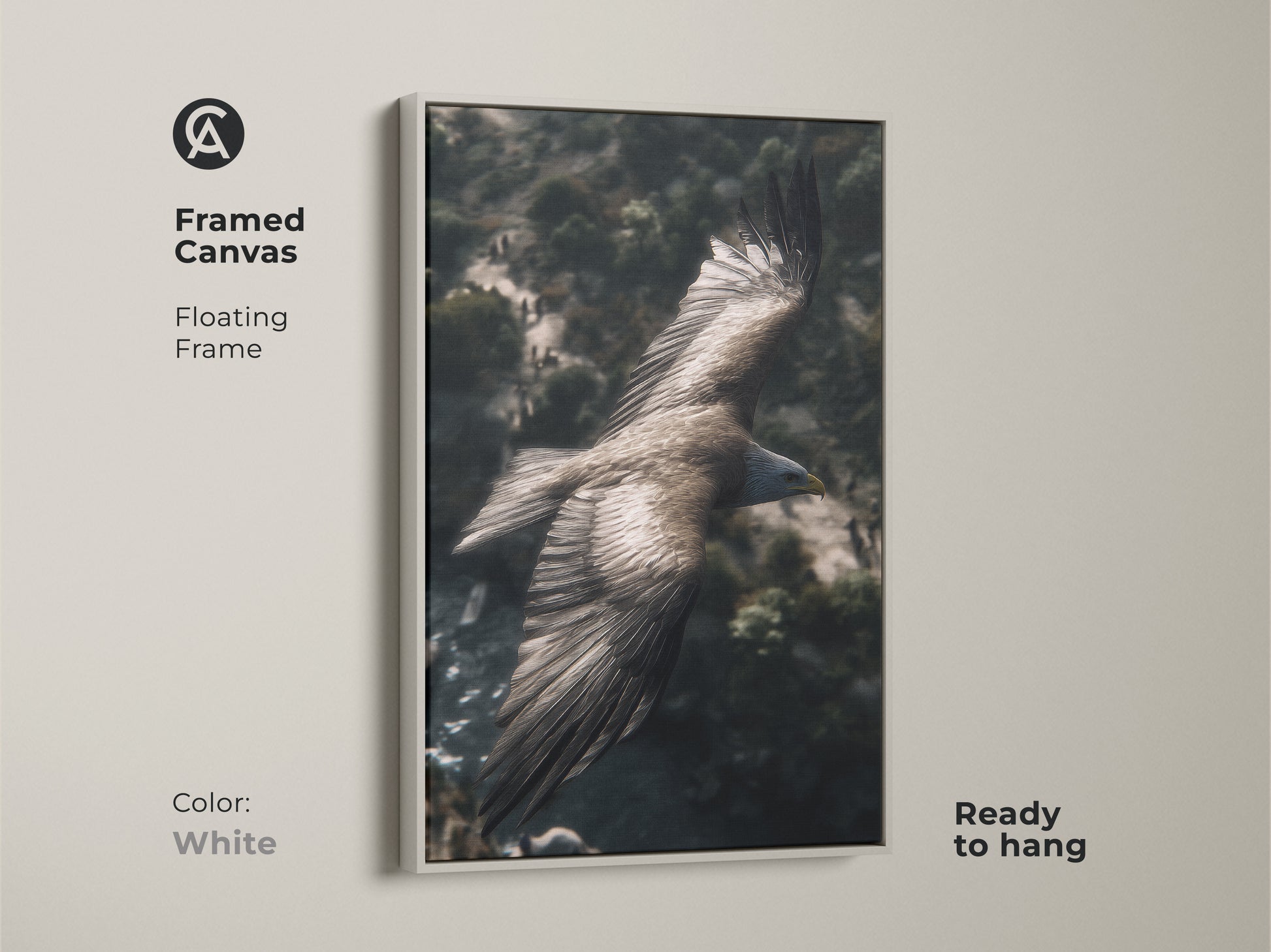 White floating frame around a canvas print of a realistic eagle. This wildlife bird of prey artwork is ready to hang. The rustic mountain landscape is perfect residential wall decor.