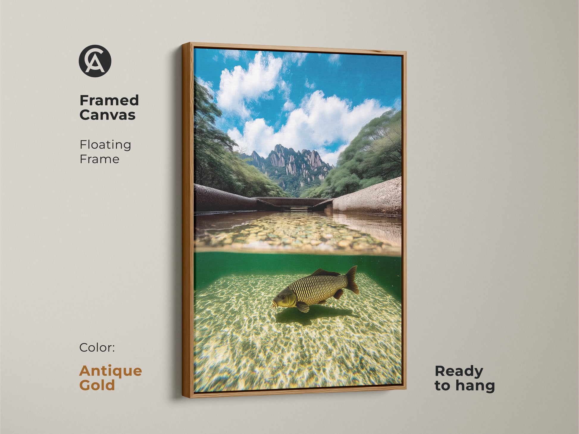This framed canvas shows a carp swimming underwater with mountains above. The realistic wildlife artwork has a floating antique gold frame. This split view artwork is ready to hang adding a modern nature artwork to any living space. Great as a fisherman gift.